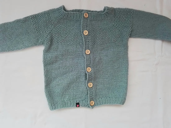 Eine Bio Strickjacke in Pastellblau von vorne